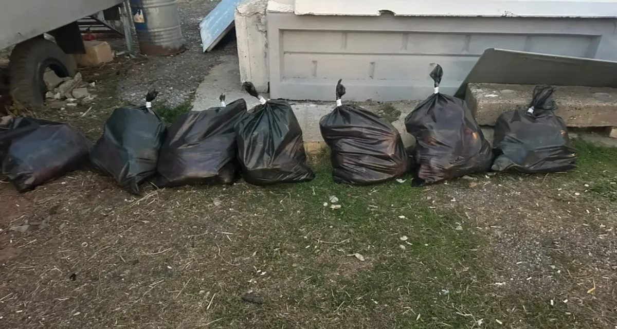 Водитель купил у незнакомца 263 кг рыбы и икру осетровых — всё изъяли дорожные полицейские