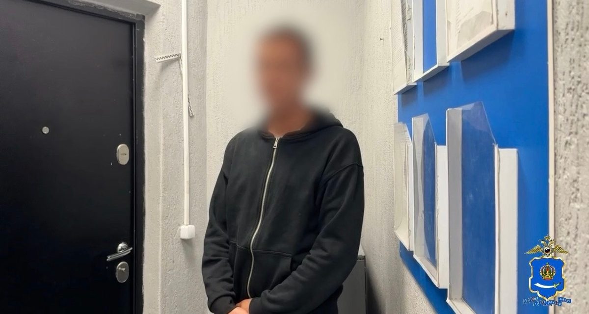 В Астрахани задержали двух мужчин после гибели кота от выстрела и угроз хозяйке